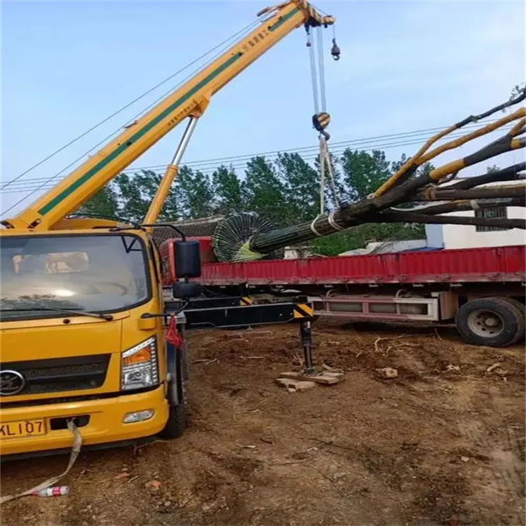 湖北100吨吊车租赁费用怎么算？3大关键因素+省钱技巧全解析